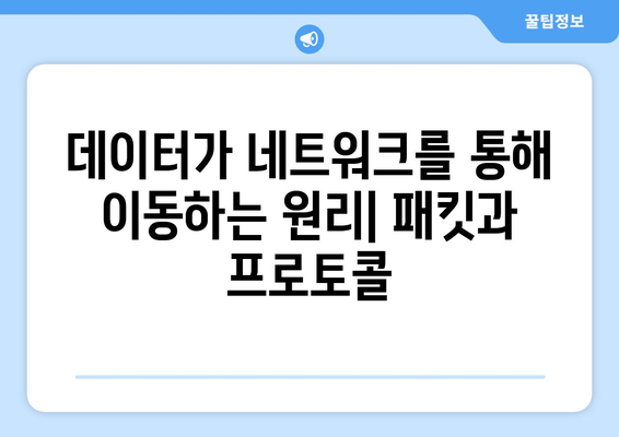 네트워크의 기본 개념과 원리