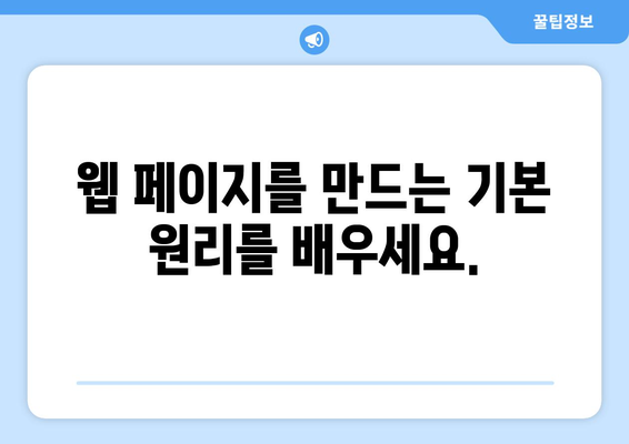 웹 개발 기초를 배우는 방법